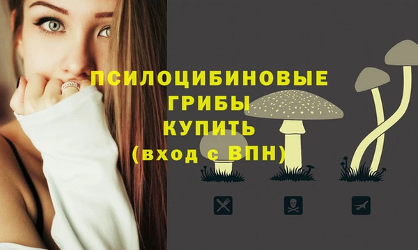 сатива Волоколамск