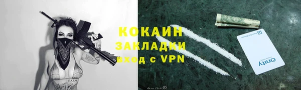 твердый Володарск
