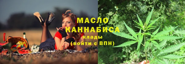твердый Володарск