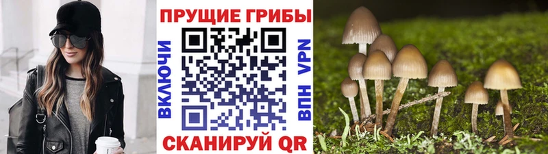 Галлюциногенные грибы прущие грибы  Купить где  Сорочинск 